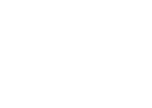Nellski